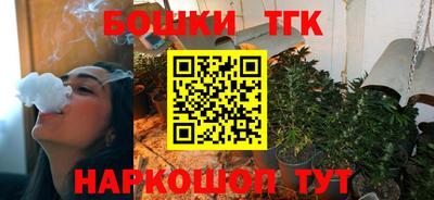 гашик Вышний Волочёк