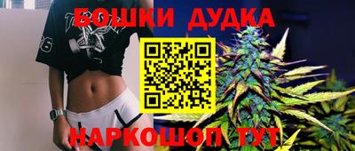 гашик Вышний Волочёк