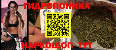 гашик Вышний Волочёк