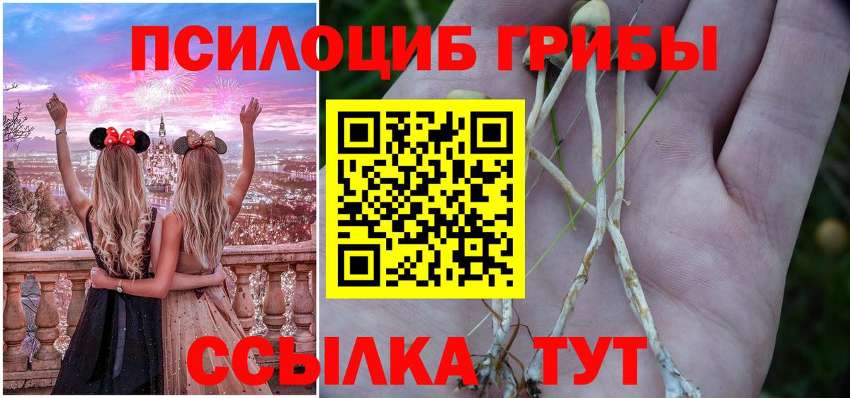 Псилоцибиновые грибы MAGIC MUSHROOMS  Вход с VPN  Великий Устюг 