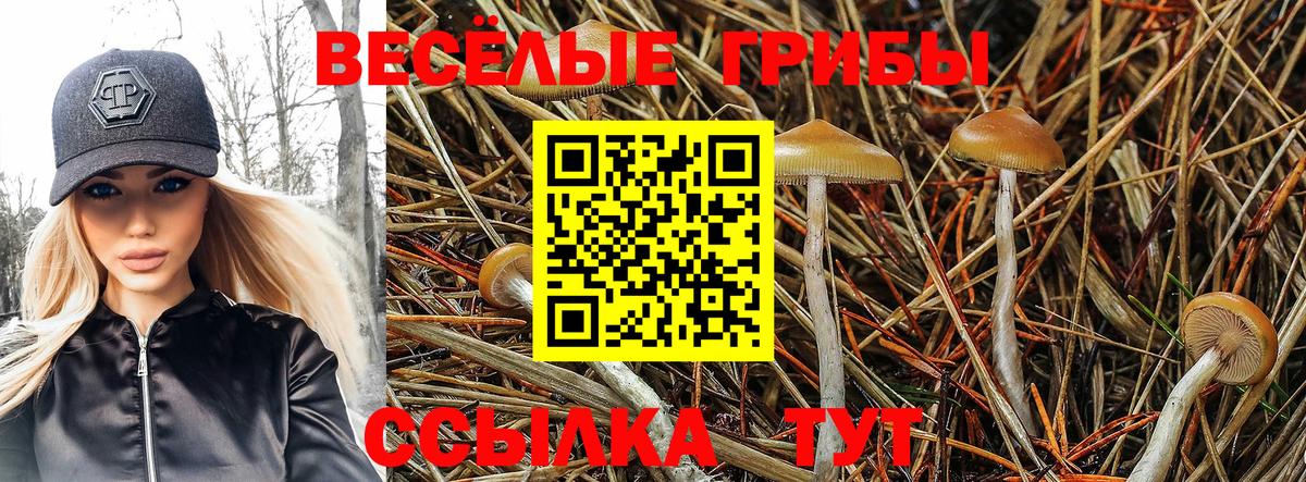 Псилоцибиновые грибы Magic Shrooms Великий Устюг